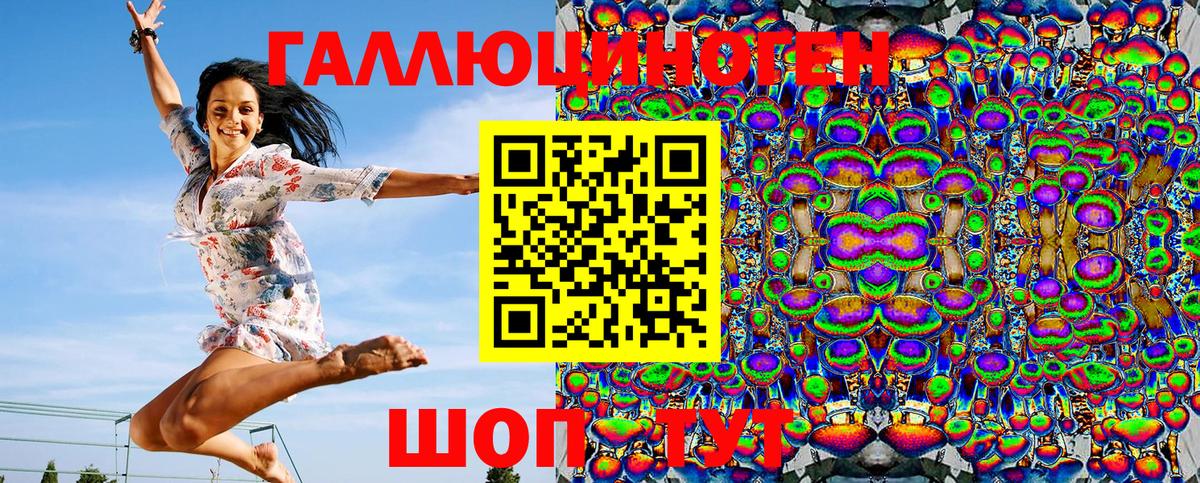 Псилоцибиновые грибы Psilocybe Нарткала