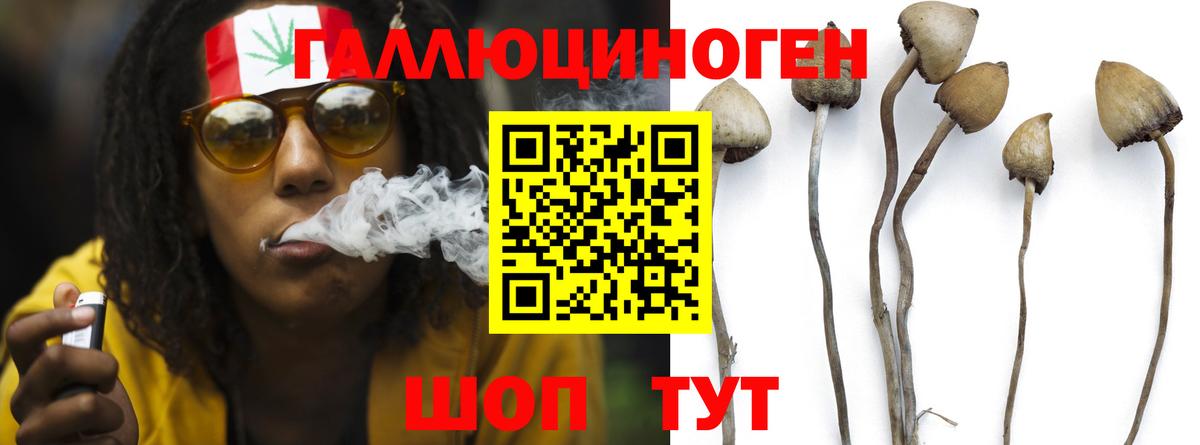 Галлюциногенные грибы мицелий  Вход с VPN  Нарткала  Псилоцибиновые грибы ЛСД 